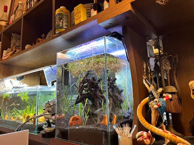 トラットリア ZETA