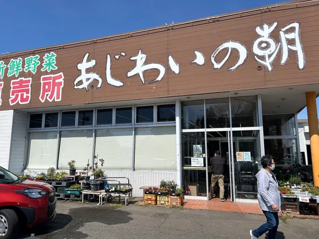 Yasainoeki Ajiwainoasa Natoriten