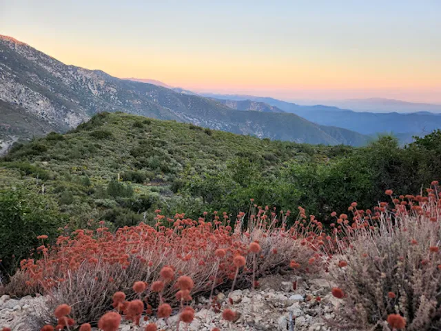 San Gabriel Mountains