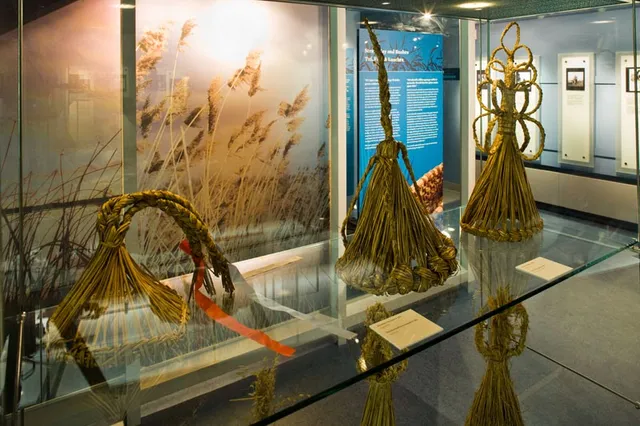 National Museum of Ireland, Turlough Park