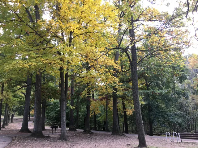 Open Grove, Roosevelt Park