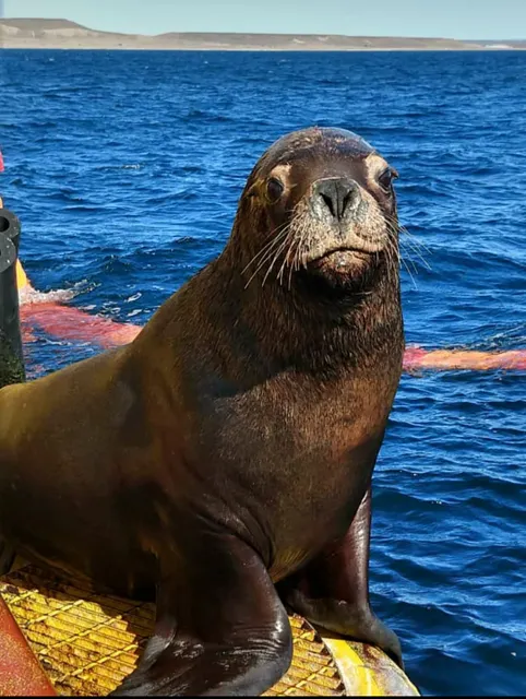 Alojamientos "El Ancla "