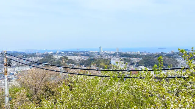 Kinugasa Yama Park Observation Deck