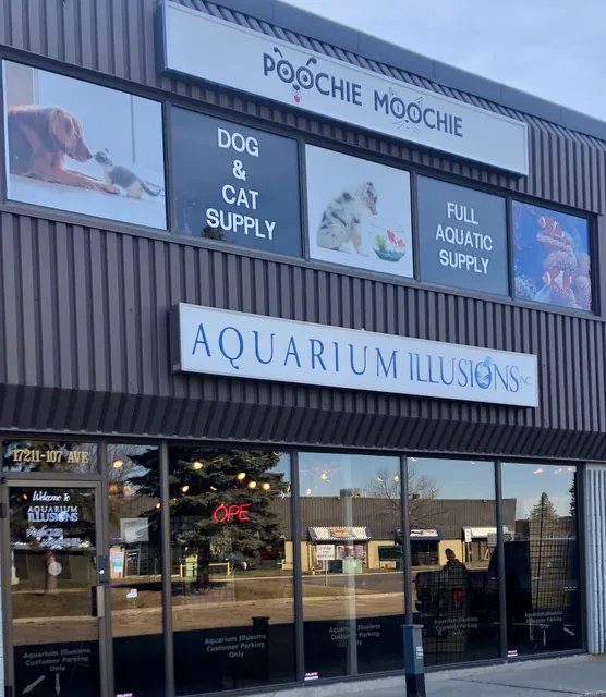 Aquarium Illusions Inc