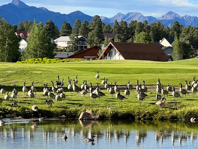 Wyndam Pagosa Elk Run