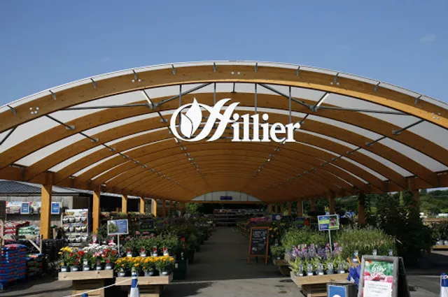 Mulberry & Thyme Marlow