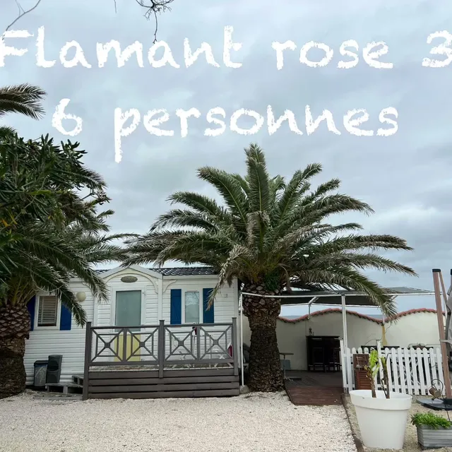 Des Flamants Roses au jardin d’eden