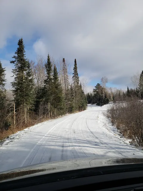 George Washington State Forest
