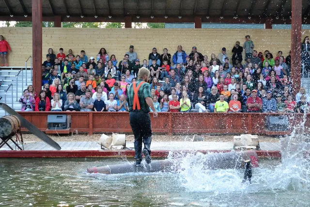 Jack Pine Lumberjack Shows