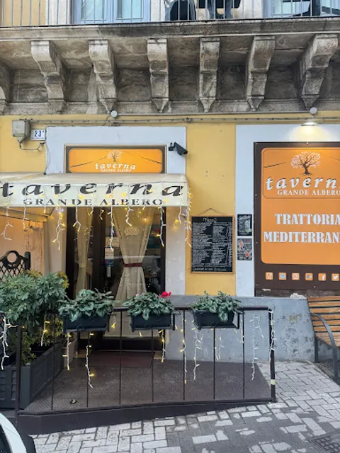 La Taverna del Grande Albero (Trattoria Mediterranea)