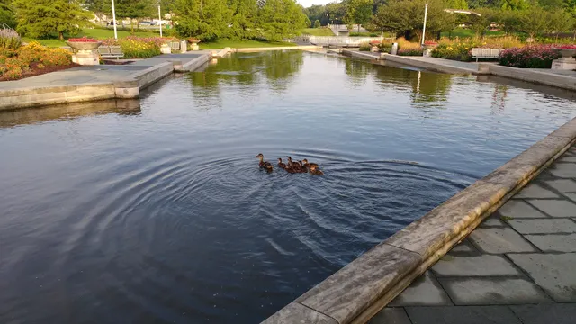 Robert C. Beutter Riverfront Park