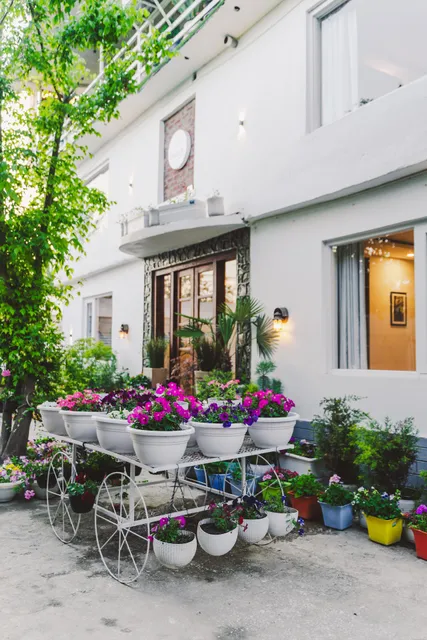 Dojee's (The Floral Home)