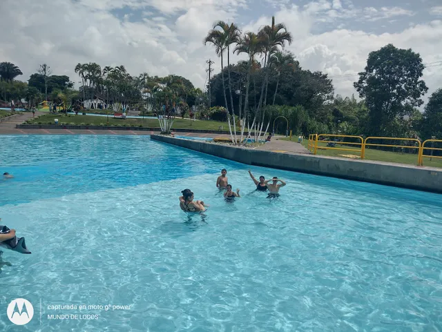 Metropolitan Park Cafe