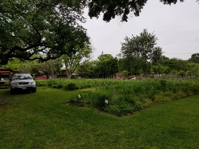 Plant It Forward Farms @ University of St Thomas