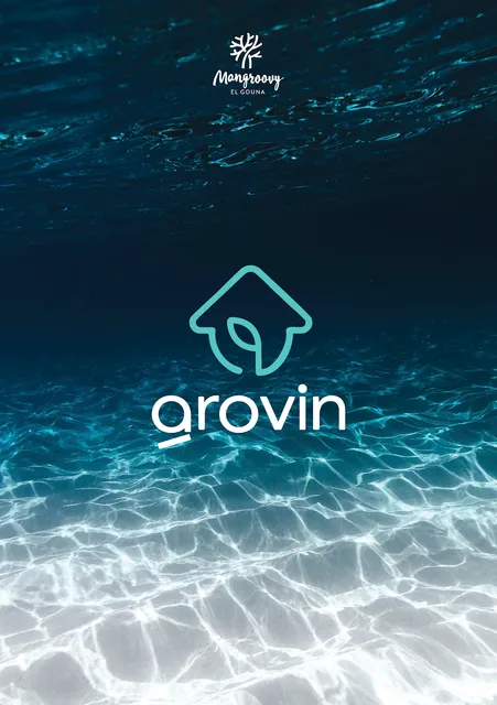 Mangroovy Residence El Gouna - Grovin