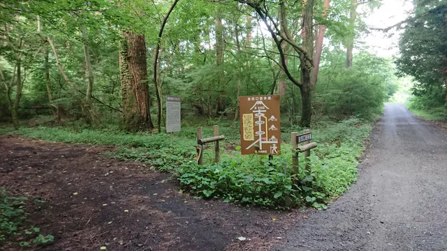 Starting point towards Yoshida Trail