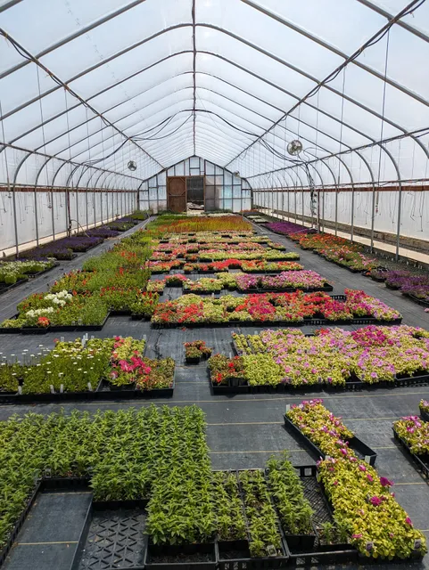 Okubo's Farm And Greenhouses Inc.