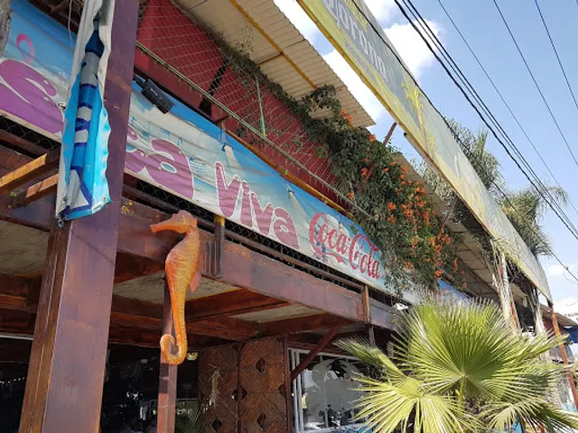 Acapulco Barra Vieja 2