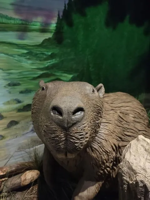 Glugga's Bar & Grill