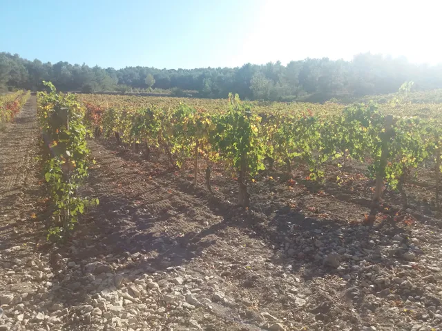 Domaine de Trévallon