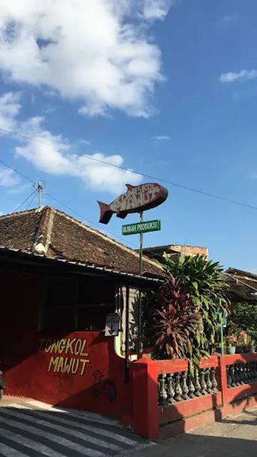 Nasibox Tongkol Mawut