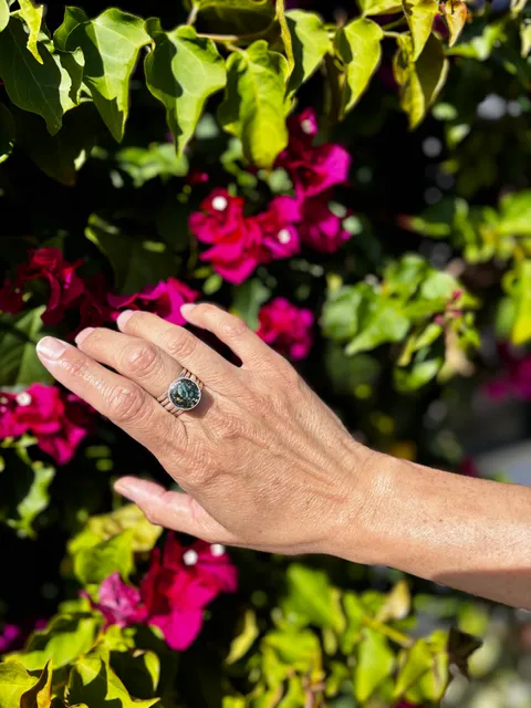 Shelby Wandrey Art Studio