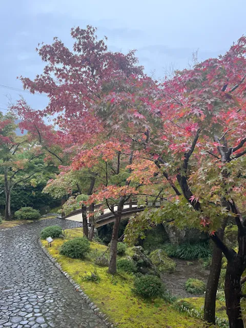 箱根美術館苔庭