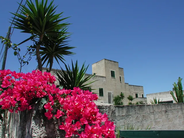 Casale due Palme, House Favignana deals Favignana