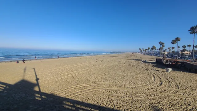 Newport Fresh Fish Market