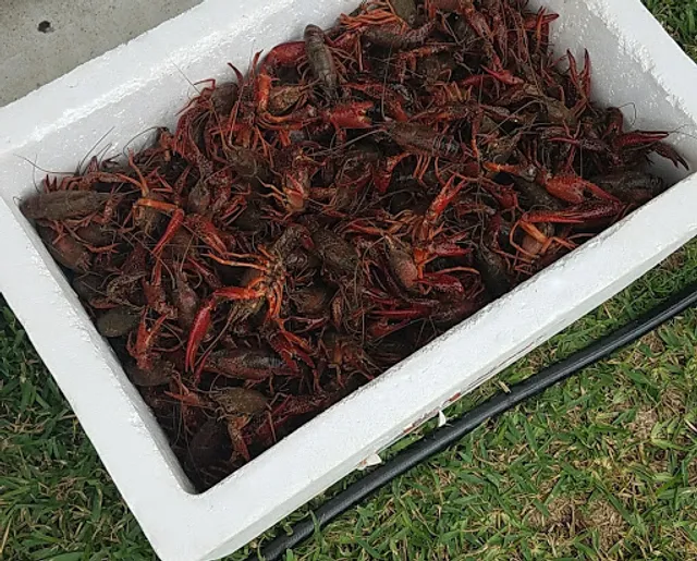 Atchafalaya Crawfish