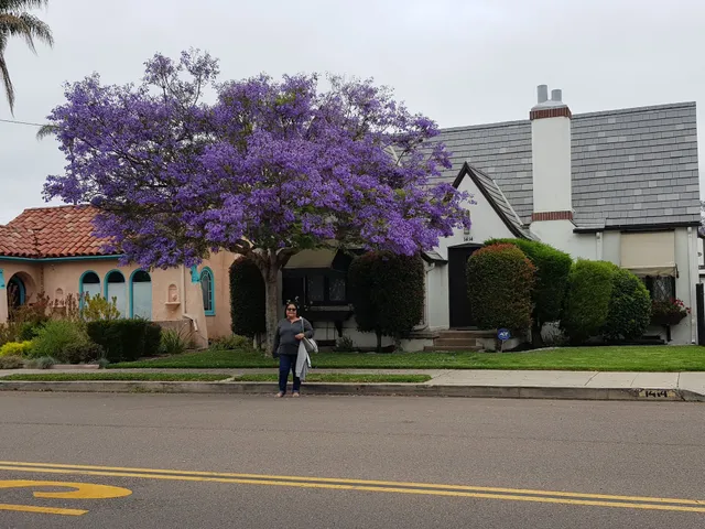 Zoological Society of San Diego / Fleet Maintenance