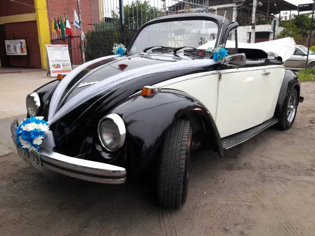 Parish of Our Lady of the Sacred Heart