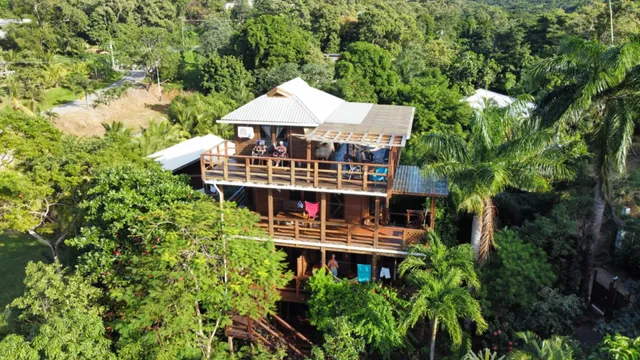 Point of View Roatan