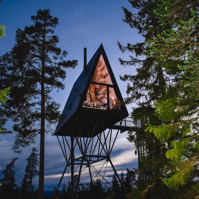 PAN Treetop Cabins