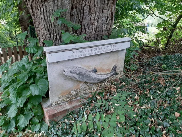 Ferienwohnungen Wildburgmühle