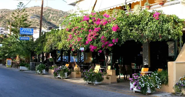 Zygos Cafe Snack-Bar