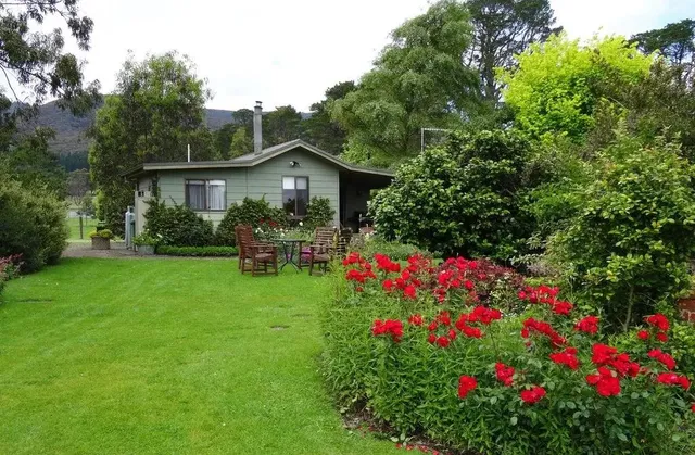 The Little House on the Hill