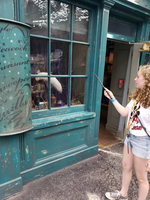 Ollivander's Wand Shop