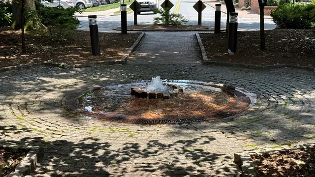 Secret Fountain