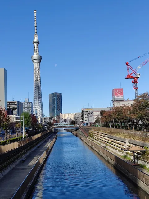 Sakura Private Apartment 3 chome 55.6