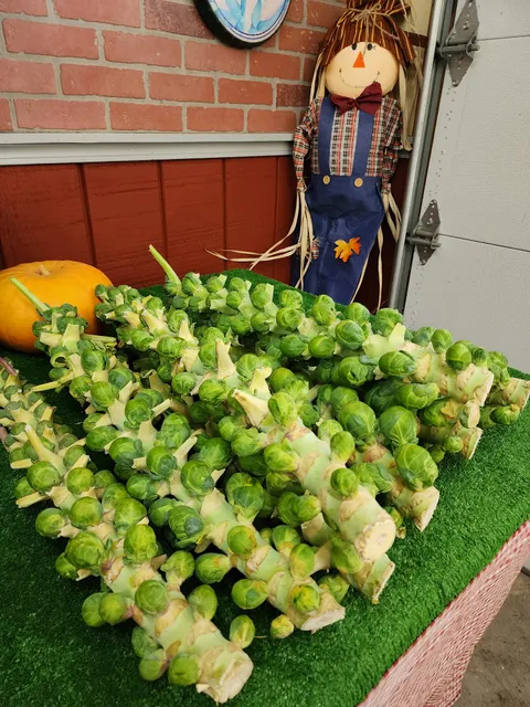 Jamminjoes Farm Market