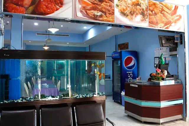SeaGulls' Catch Restaurant - صيد النورس للمأكولات البحرية