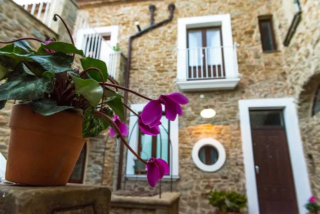 Palazzo Gargano B&B - Cilento