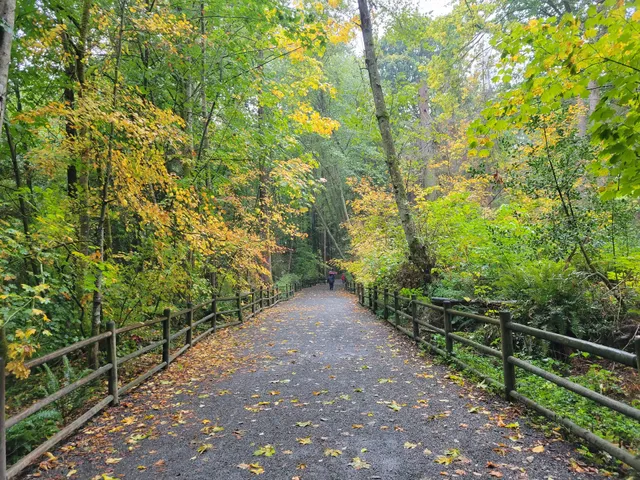 Mosquito Creek Trail