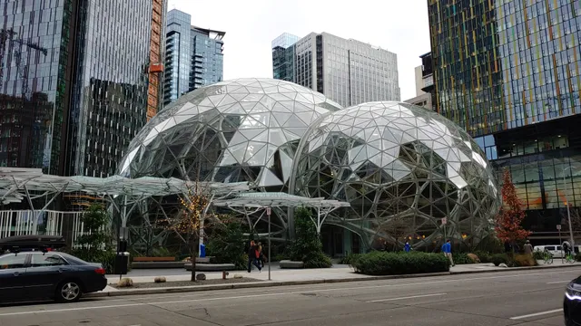 Amazon - Coral (SEA68)