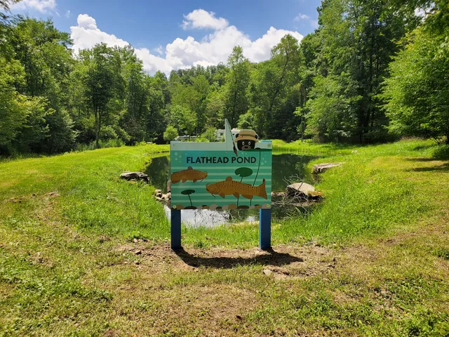 Cranberry Forest Farm LLC