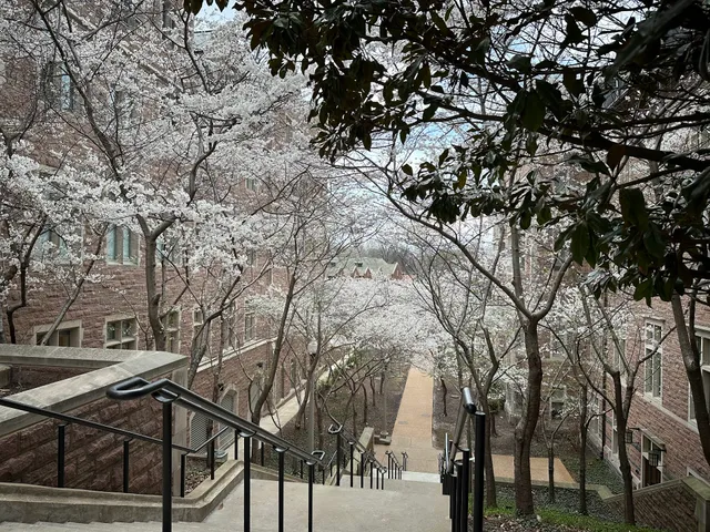 Washington University School of Law Library