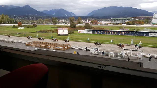 Hastings Racecourse & Casino