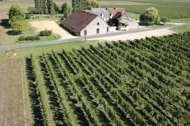 Domaine De La Plante D'or