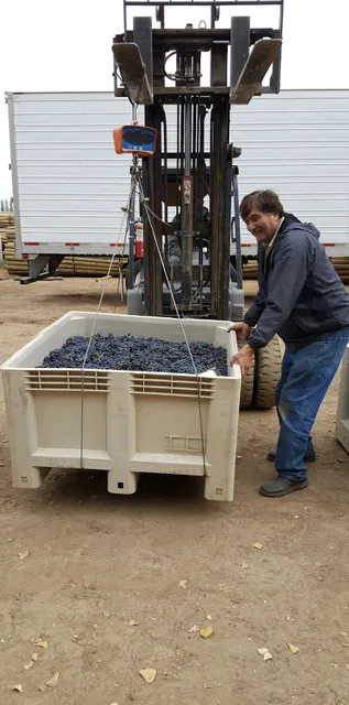 Soos Creek Wine Cellars